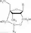 Fig. 04 - Process for producing nucleoside