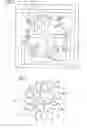 Fig. 03 - Microfluidic reactor having an annular reaction chamber