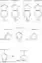 Fig. 485 - Piperazines, pharmaceutical compositions and methods of use thereof