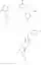 Fig. 37 - Preparation of N'-(4--2,5-dimethylphenyl)-N- ethyl-N-methylimidoformamide