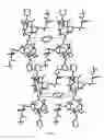 Fig. 15 - SOLVATES OF DOCETAXEL