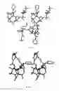 Fig. 19 - SOLVATES OF DOCETAXEL