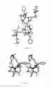 Fig. 22 - SOLVATES OF DOCETAXEL