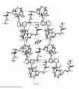 Fig. 23 - SOLVATES OF DOCETAXEL