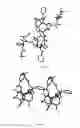 Fig. 25 - SOLVATES OF DOCETAXEL