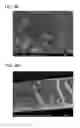 Fig. 10 - Organosilica nanoparticles and method for making