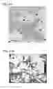 Fig. 14 - Organosilica nanoparticles and method for making
