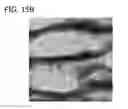 Fig. 15 - Organosilica nanoparticles and method for making