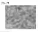 Fig. 18 - Organosilica nanoparticles and method for making