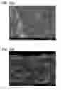 Fig. 25 - Organosilica nanoparticles and method for making