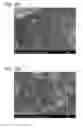 Fig. 26 - Organosilica nanoparticles and method for making