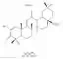 Fig. 01 - Forms of CDDO methyl ester