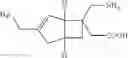 Fig. 10 - Method for producing bicyclic γ-amino acid derivative