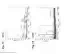 Fig. 03 - MITOCHONDRIAL LOCALIZATION OF MUC1