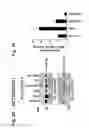 Fig. 09 - MITOCHONDRIAL LOCALIZATION OF MUC1