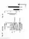 Fig. 10 - MITOCHONDRIAL LOCALIZATION OF MUC1