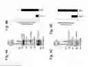 Fig. 11 - MITOCHONDRIAL LOCALIZATION OF MUC1