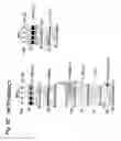 Fig. 17 - MITOCHONDRIAL LOCALIZATION OF MUC1