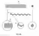 Fig. 14 - MEDICAL DEVICE