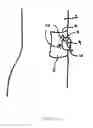 Fig. 05 - Dressing and method for cleaning and protecting a laparoscopic camera lens intra-abdominally, stomas, appendages, and insertion sites of tubes and catheters