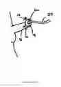 Fig. 10 - Dressing and method for cleaning and protecting a laparoscopic camera lens intra-abdominally, stomas, appendages, and insertion sites of tubes and catheters