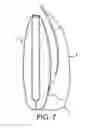 Fig. 07 - Laryngoscope