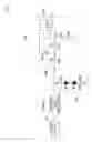 Fig. 11 - Biosensor device