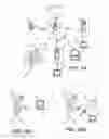 Fig. 02 - Computer interfaces including physiologically guided avatars