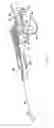 Fig. 09 - Length detection system for biopsy device
