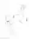 Fig. 04 - Oral fluid collection device