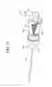 Fig. 14 - Dual chamber syringe with retractable needle