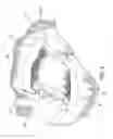 Fig. 04 - Diaper with hand receiving pocket