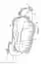 Fig. 05 - Diaper with hand receiving pocket