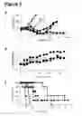 Fig. 03 - Inducible interleukin-12
