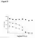 Fig. 04 - Inducible interleukin-12