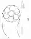 Fig. 11 - DIODE LASER SYSTEMS AND METHODS FOR ENDOSCOPIC TREATMENT OF TISSUE