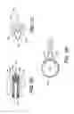 Fig. 12 - Device for preparing a space in bone to receive an insert