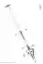 Fig. 05 - Device for holding, folding and injecting an intraocular lens