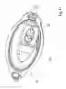 Fig. 13 - Device for holding, folding and injecting an intraocular lens