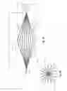 Fig. 02 - Implantable lumen filter with enhanced durability