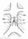 Fig. 01 - Vein filter