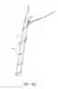 Fig. 40 - System for providing surgical access