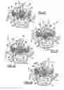 Fig. 08 - Minimally invasive vertebral laminar reconstructive plate