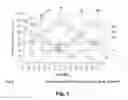 Fig. 02 - System and method for the visualization and optimization of cardiac resynchronization therapy