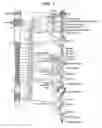 Fig. 02 - Methods and apparatus for treating bronchial restriction using electrical modulation