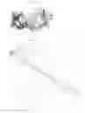 Fig. 09 - Multiphase eyecare