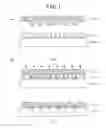 Fig. 02 - IMPRINTING METHOD, SEMICONDUCTOR INTEGRATED CIRCUIT MANUFACTURING METHOD AND DROP RECIPE CREATING METHOD