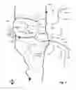 Fig. 02 - Dynamic prediction of road traffic conditions