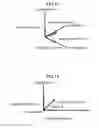 Fig. 12 - Operation input apparatus and operation input detection apparatus