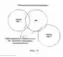 Fig. 14 - Modelling apparatus and method